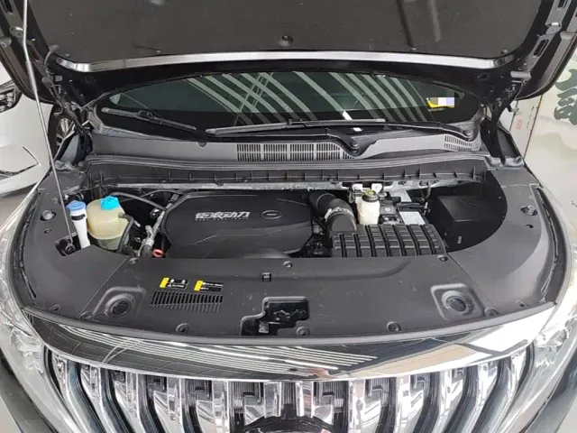 GAC Trumpchi M8 — Фото автомобиля 19