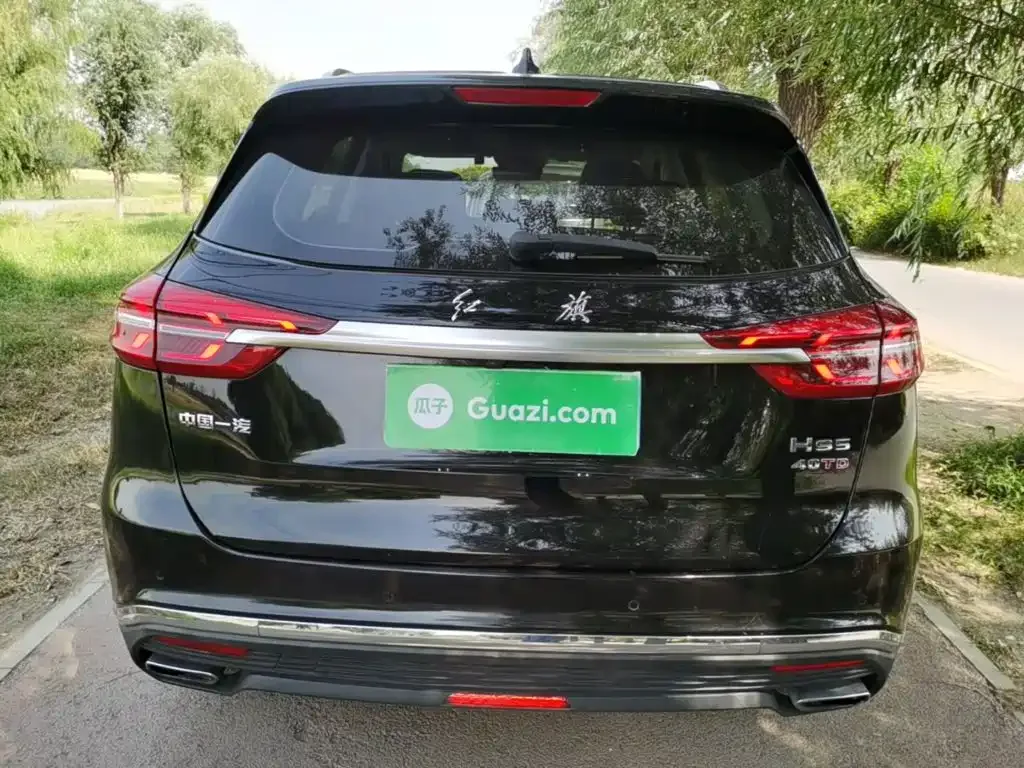 Hongqi Hongqi HS5 2022 Facelift 2.0T Smart Flag Enjoyment Edition — Фото автомобиля 5