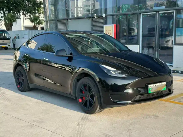 Tesla Model Y — Фото автомобиля 3