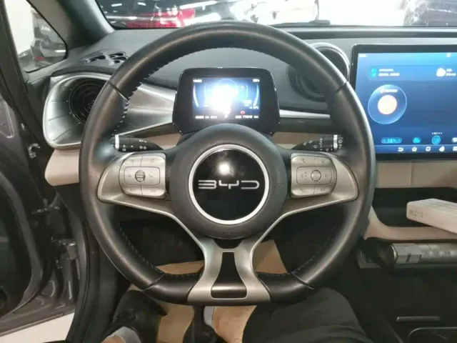 BYD Dolphin — Фото автомобиля 10
