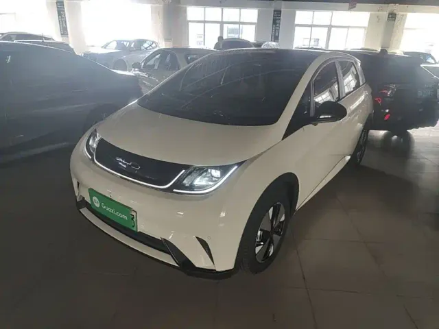 Фотография автомобиля — BYD Dolphin