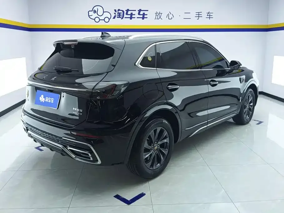 Hongqi Hongqi HS5 2023 2.0T Flag Enjoy Pro Edition — Фото автомобиля 3
