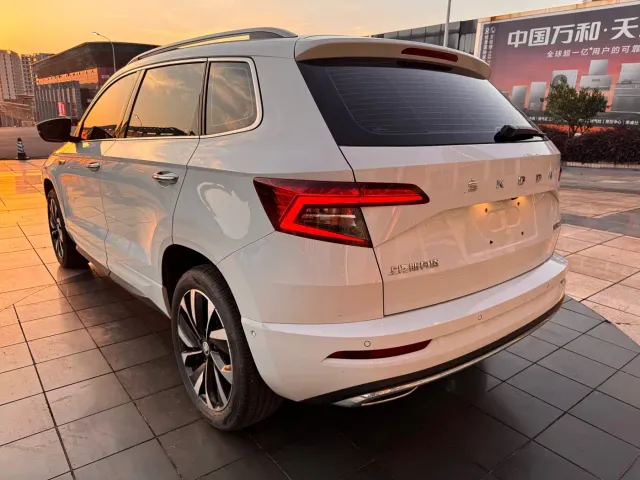 Skoda Karoq — Фото автомобиля 4