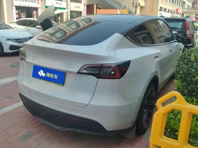 Tesla Model Y — Фото автомобиля 3