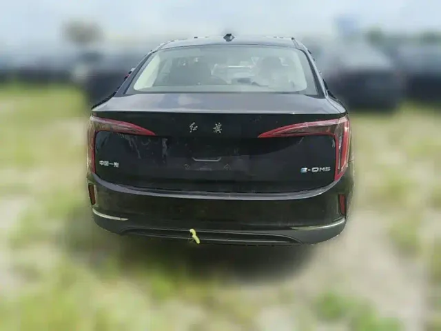 Hongqi E-QM5 — Фото автомобиля 7