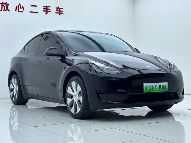 Tesla Model Y — Фото автомобиля 2