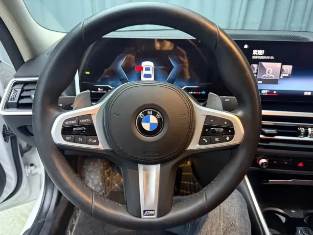BMW 3 Series — Фото автомобиля 12