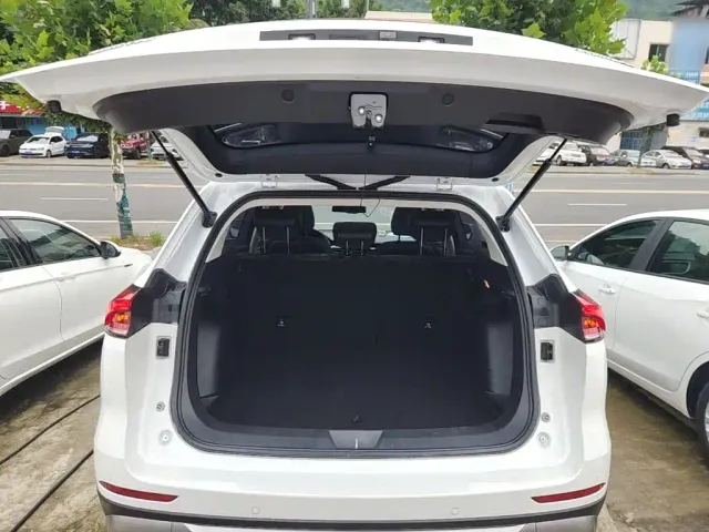 Haval Haval H6 2021 Model National Trend Edition 1.5T Auto Champion — Фото автомобиля 18
