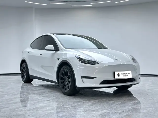 Tesla Model Y — Фото автомобиля 4