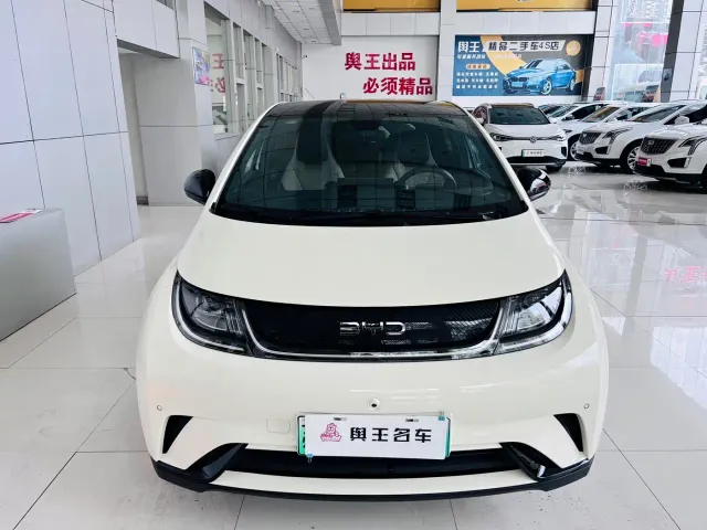 BYD Dolphin — Фото автомобиля 5
