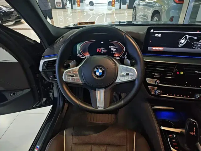 BMW 5 Series — Фото автомобиля 10