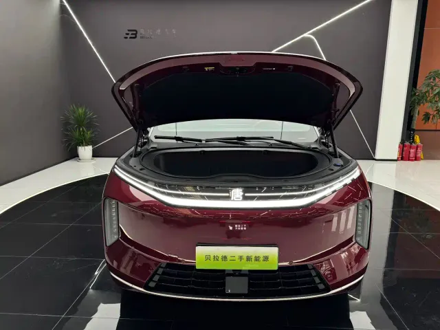 BYD Dynasty-D — Фото автомобиля 6