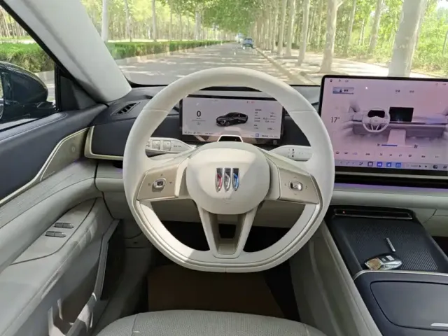 Buick Electra L7 — Фото автомобиля 6