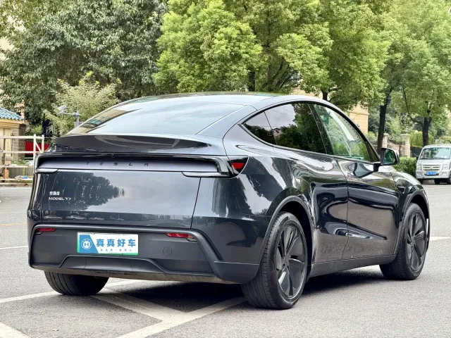 Tesla Model Y — Фото автомобиля 4