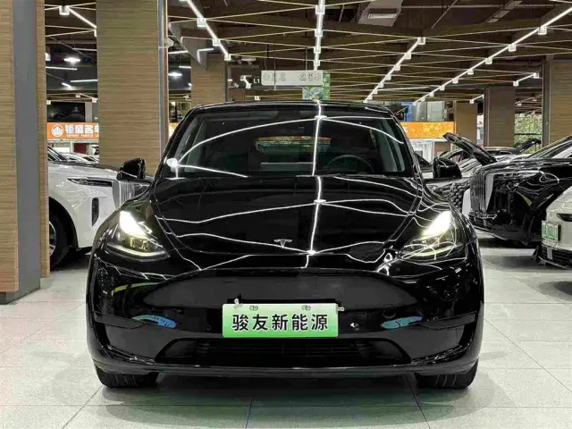 Tesla Model Y — Фото автомобиля 11
