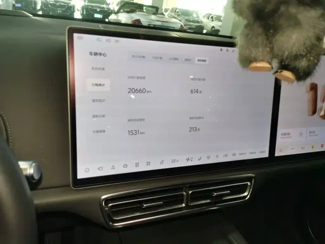 Li Auto L8 — Фото автомобиля 9