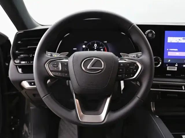 Lexus RX — Фото автомобиля 15