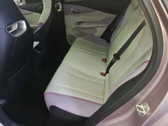 BYD Dolphin 2021 Model 405km Fashion Edition — Фото автомобиля 16