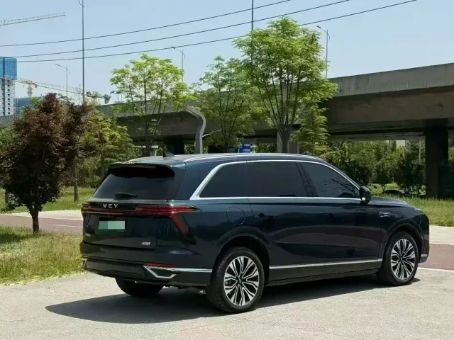 Wey Lanshan — Фото автомобиля 7