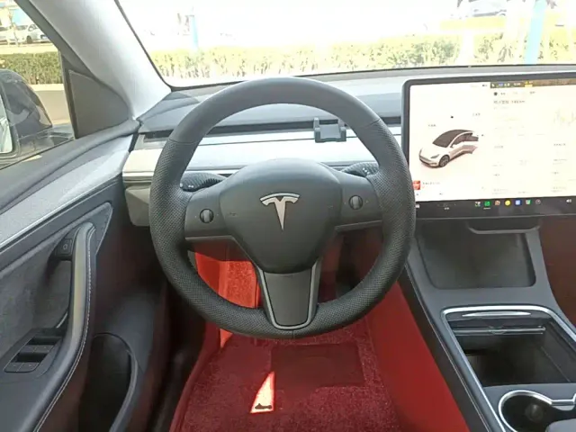 Tesla Model Y — Фото автомобиля 10