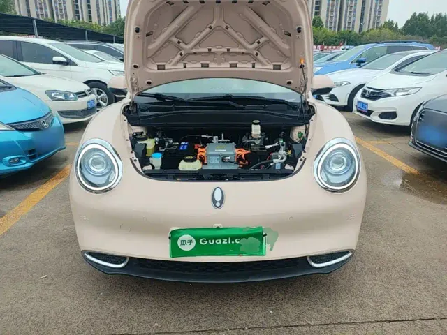 Ora Ora Good Cat 2021 400km Standard Range Athena Edition (LFP) — Фото автомобиля 19