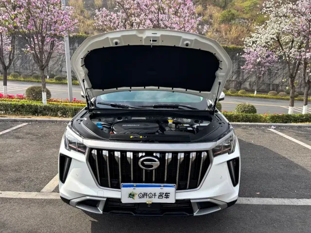 GAC Trumpchi GS4 PLUS — Фото автомобиля 14