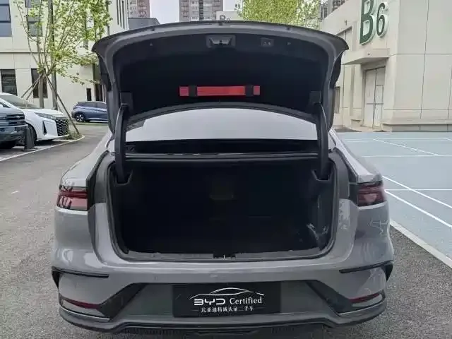 BYD Han — Фото автомобиля 10