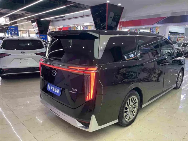 GAC Trumpchi M8 — Фото автомобиля 15