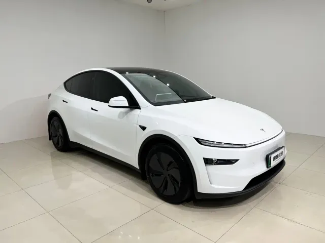 Tesla Model Y — Фото автомобиля 3