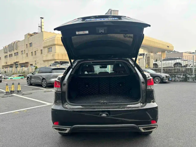 Lexus RX — Фото автомобиля 14