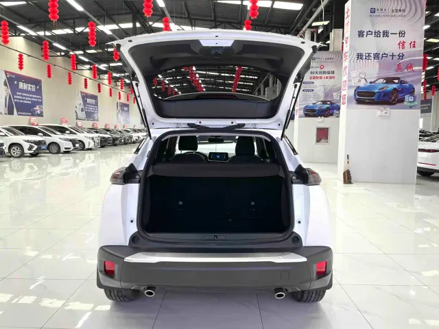 Peugeot 2008 — Фото автомобиля 15