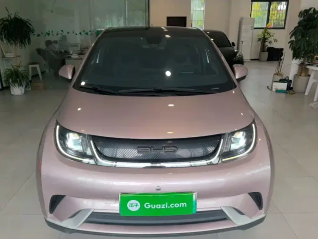 BYD Dolphin — Фото автомобиля 2
