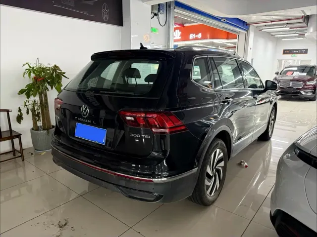 Volkswagen Tiguan L — Фото автомобиля 13