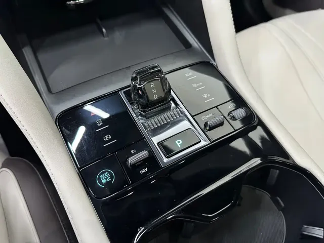 BYD Song PLUS — Фото автомобиля 13