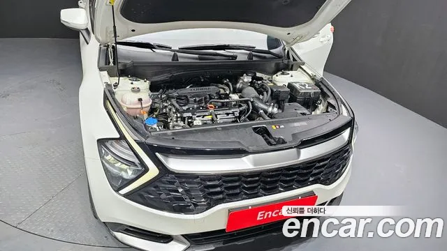 Kia Sportage Sportage 5-е поколение Бензин 1.6 Turbo 4WD — Фото автомобиля 6
