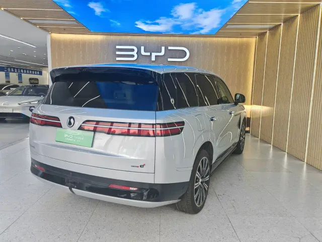 Denza N9 — Фото автомобиля 19