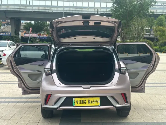 BYD Dolphin — Фото автомобиля 25