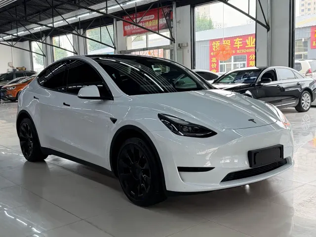 Tesla Model Y — Фото автомобиля 3