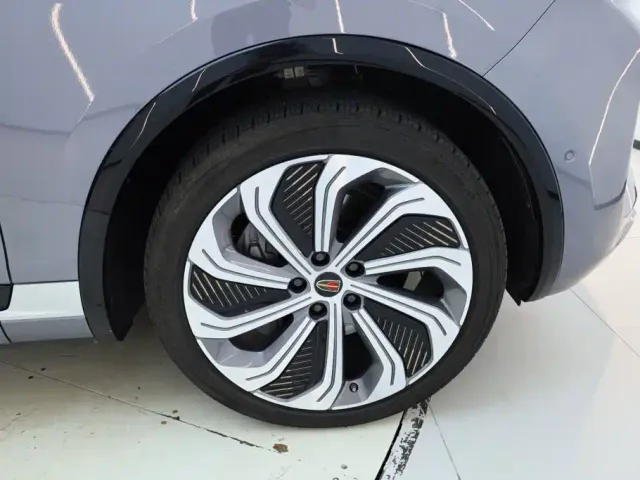 Hongqi E-HS9 — Фото автомобиля 13
