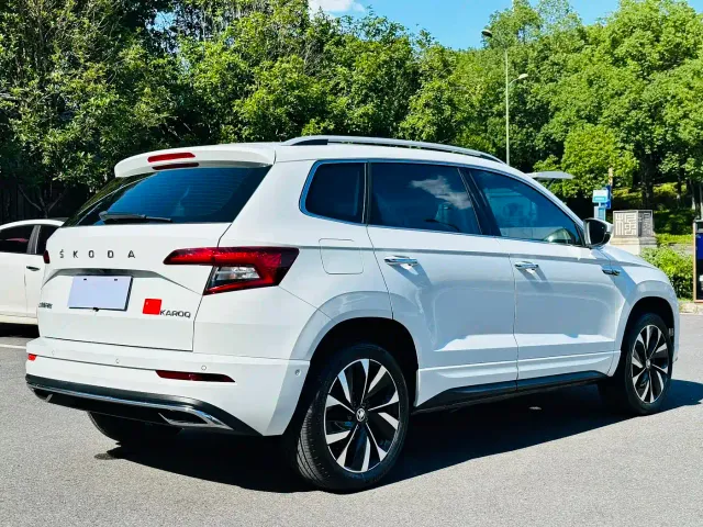 Skoda Karoq — Фото автомобиля 13