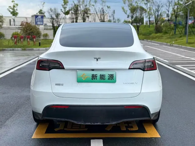 Tesla Model Y — Фото автомобиля 8