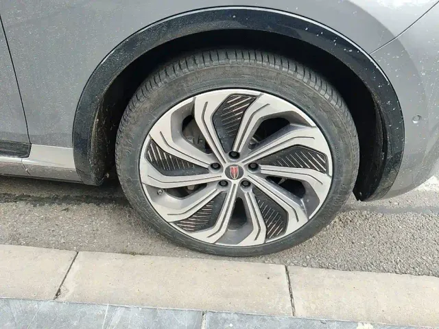 Hongqi Hongqi E-HS9 2022 660km Qi Ling Edition (4-seater) — Фото автомобиля 8
