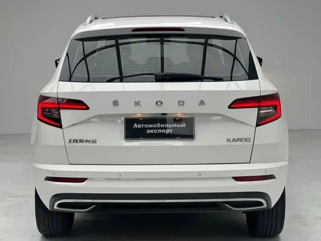 Skoda Karoq — Фото автомобиля 10