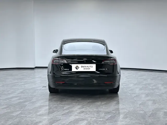 Tesla Model 3 2021 Facelift Standard Range RWD Upgrade 3D1 — Фото автомобиля 4