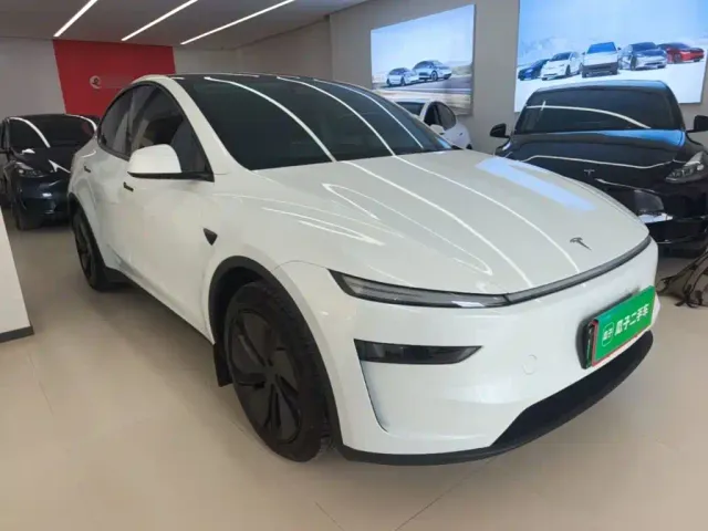 Tesla Model Y — Фото автомобиля 3
