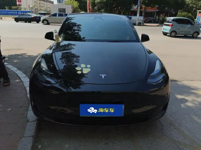 Tesla Model Y — Фото автомобиля 2