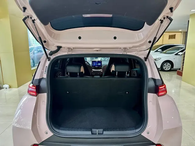 BYD Seagull — Фото автомобиля 20