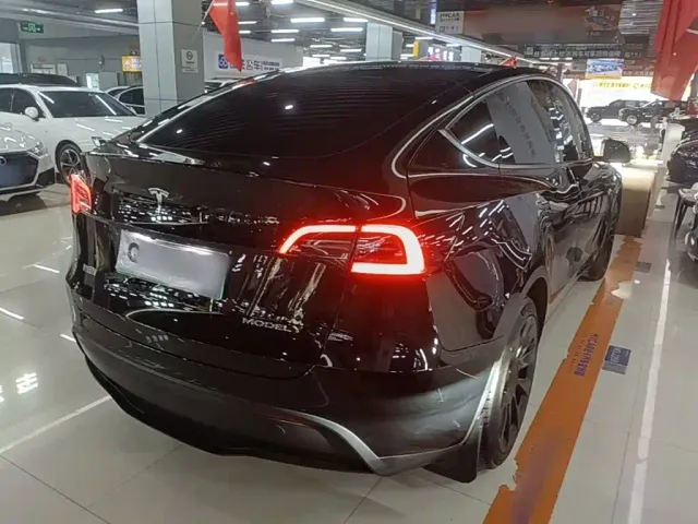 Tesla Model Y — Фото автомобиля 6