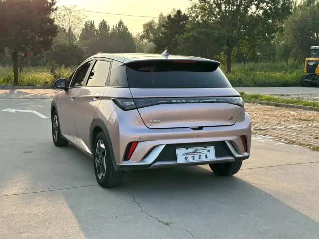 BYD Dolphin — Фото автомобиля 4