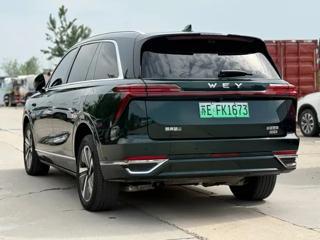 Wey Lanshan — Фото автомобиля 13